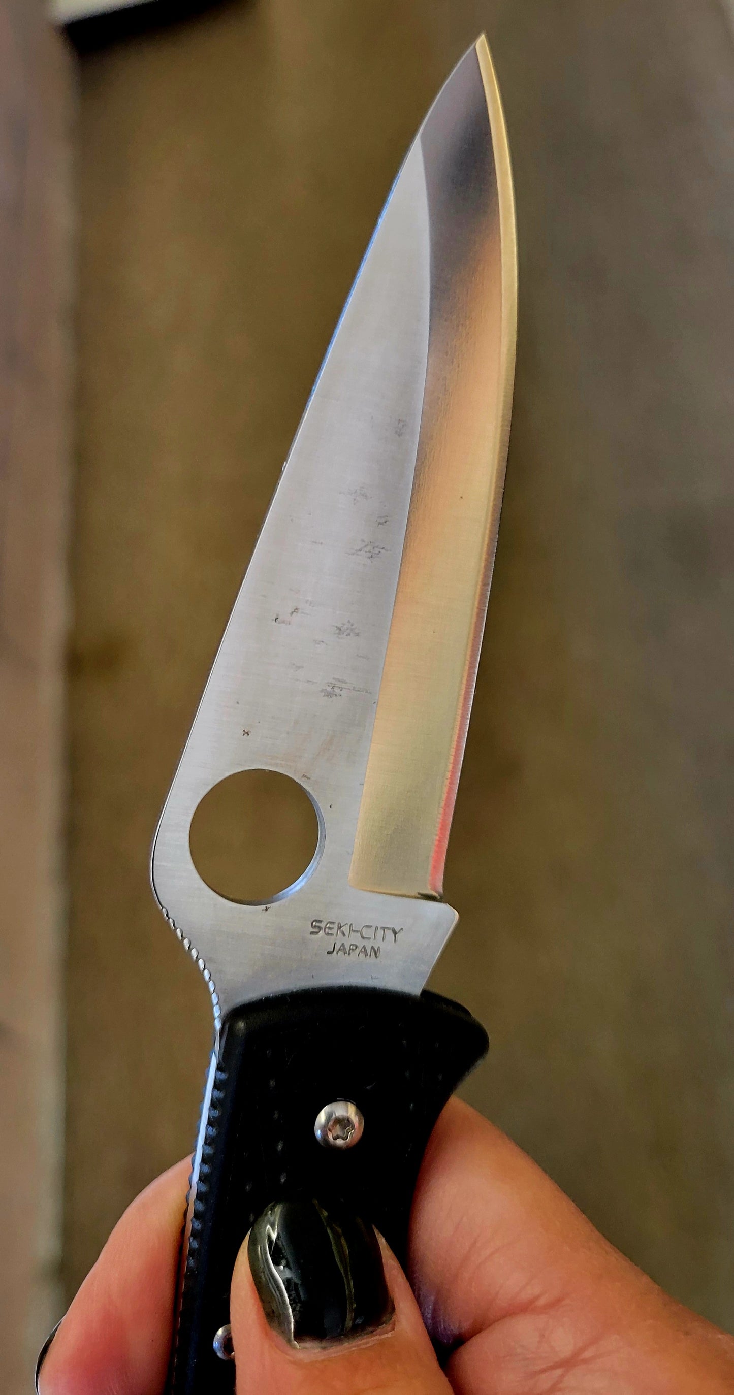 Spyderco C10PBK Endura 4