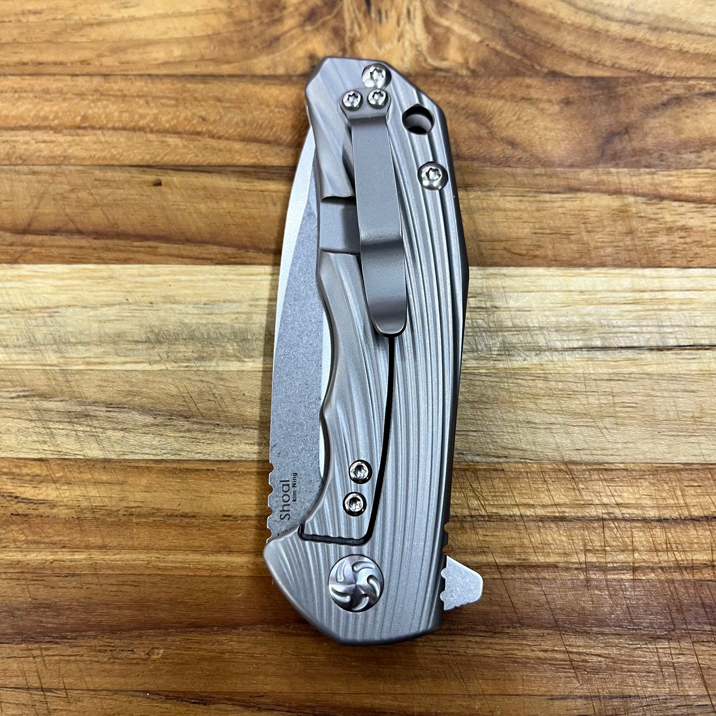 Kizer Mini Shoal 3" Folding Knife