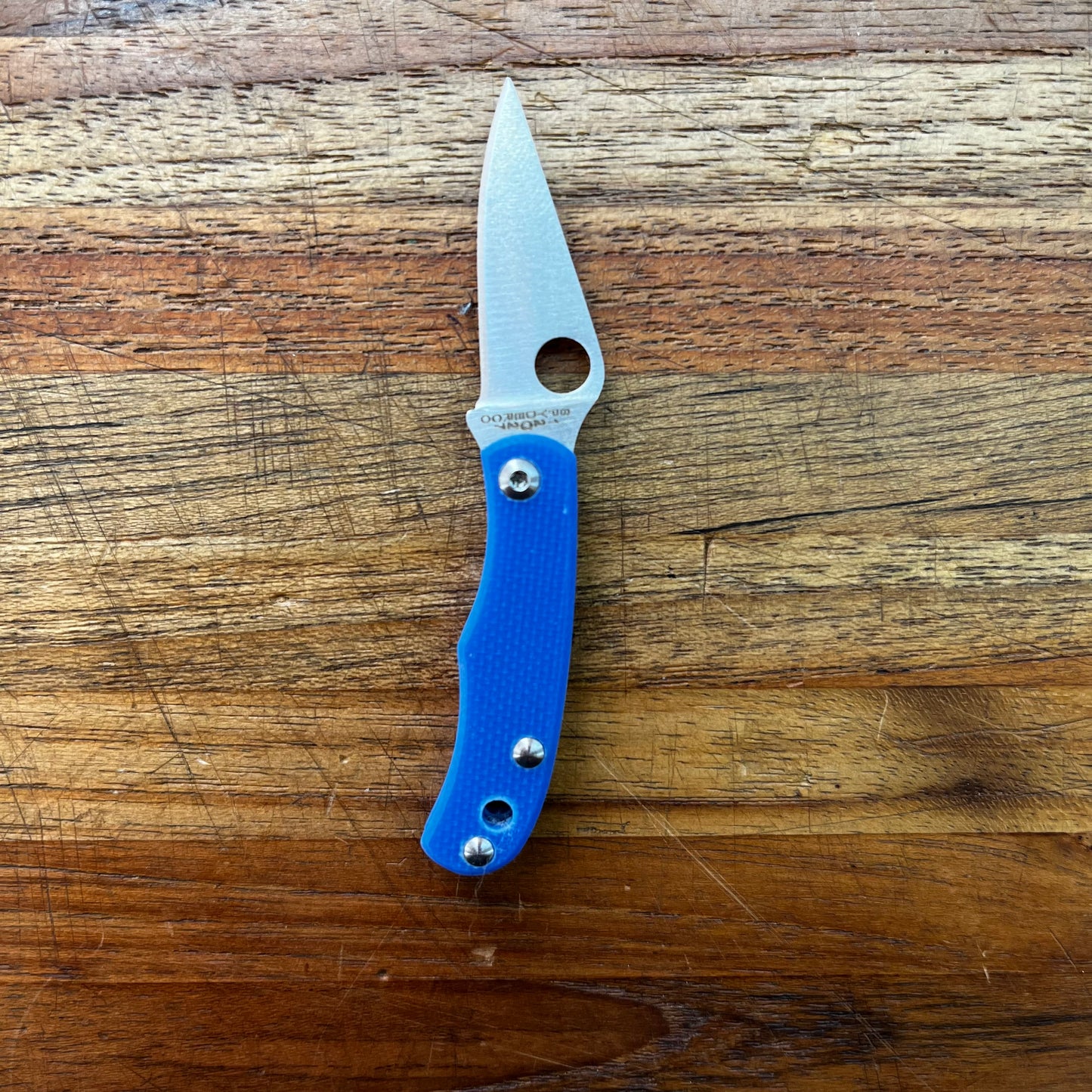 Spyderco Bug 1" Folding Knife w/ Blue Handle