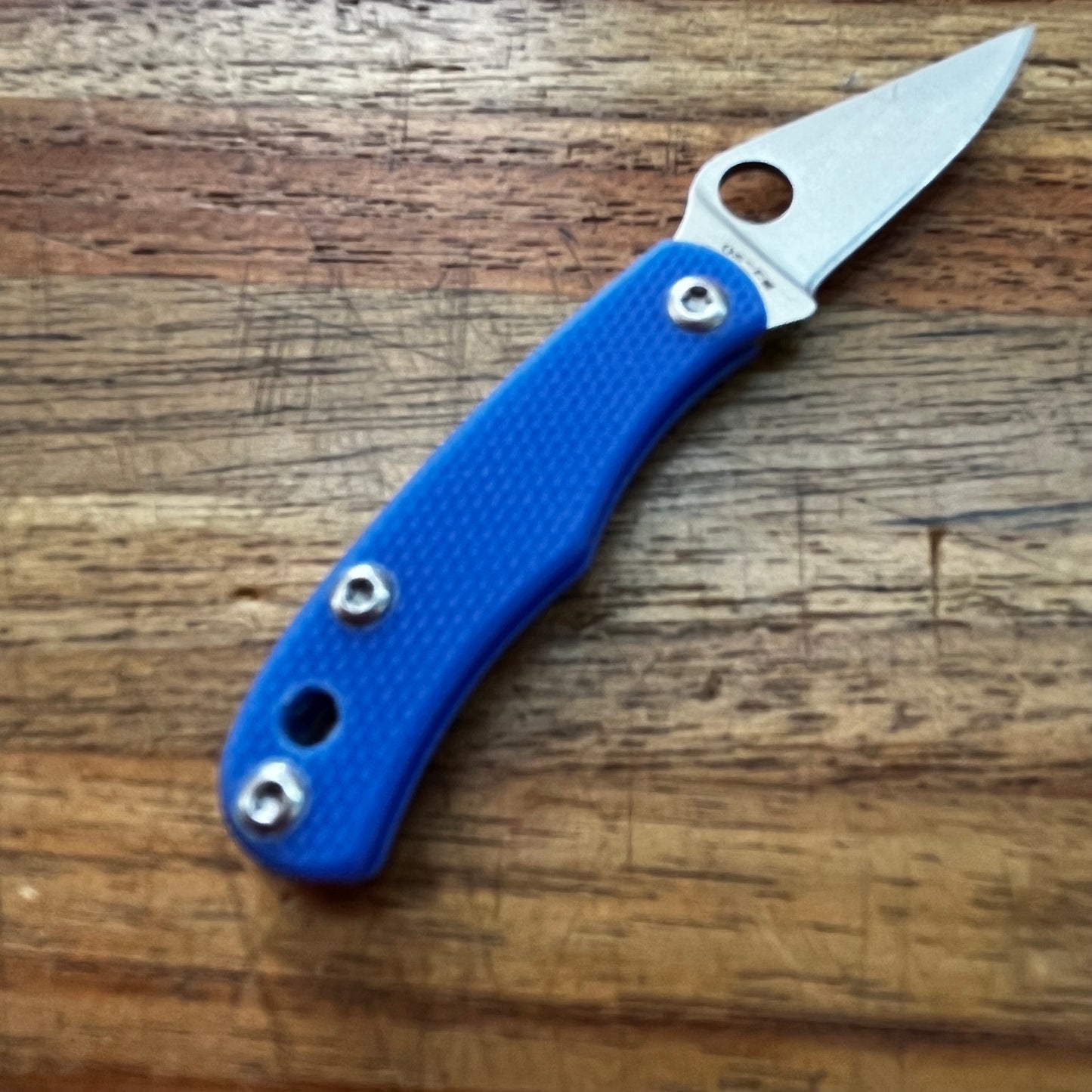 Spyderco Bug 1" Folding Knife w/ Blue Handle