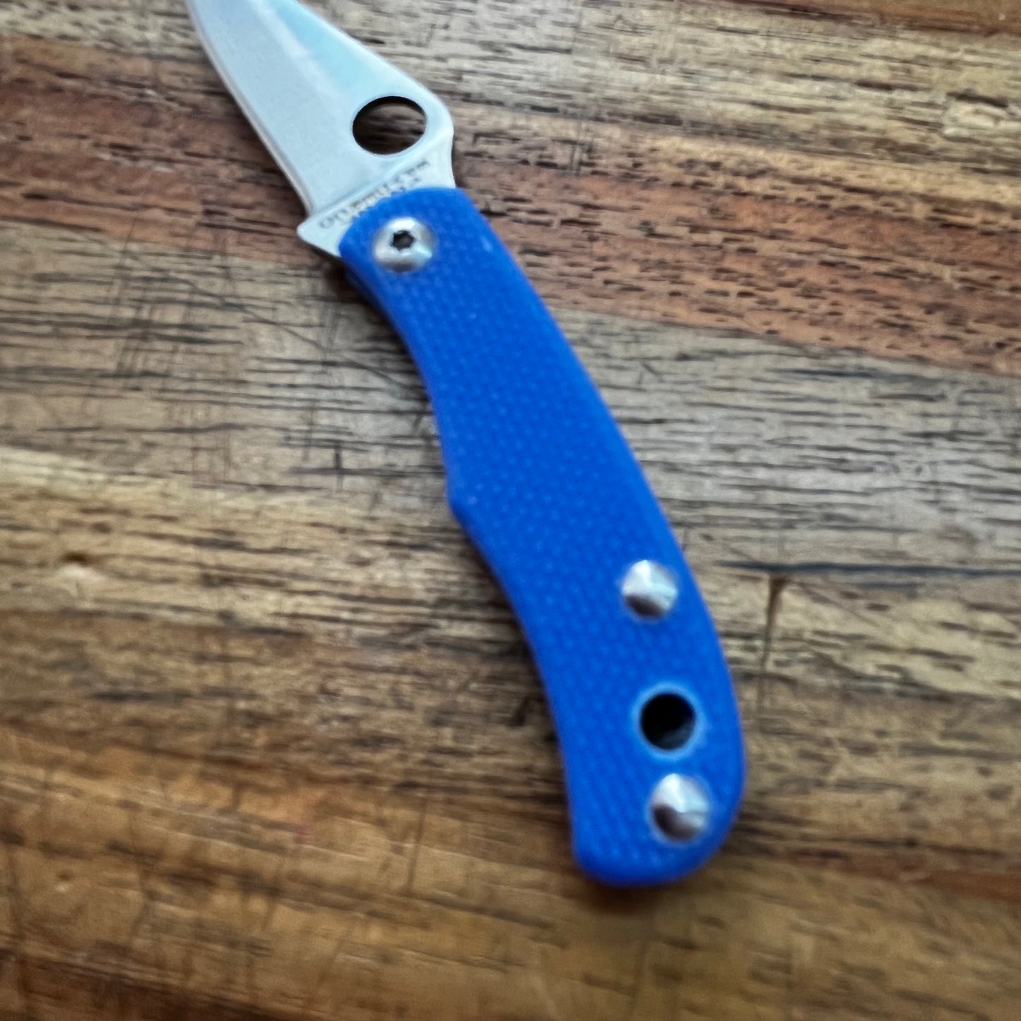 Spyderco Bug 1" Folding Knife w/ Blue Handle