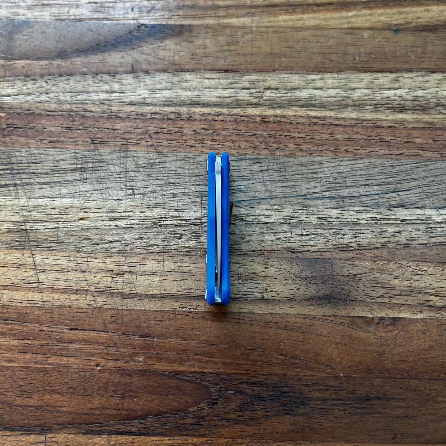 Spyderco Bug 1" Folding Knife w/ Blue Handle