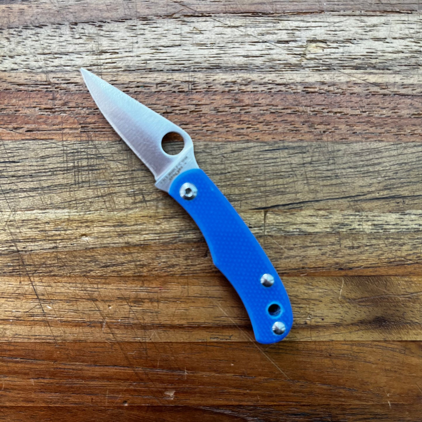 Spyderco Bug 1" Folding Knife w/ Blue Handle