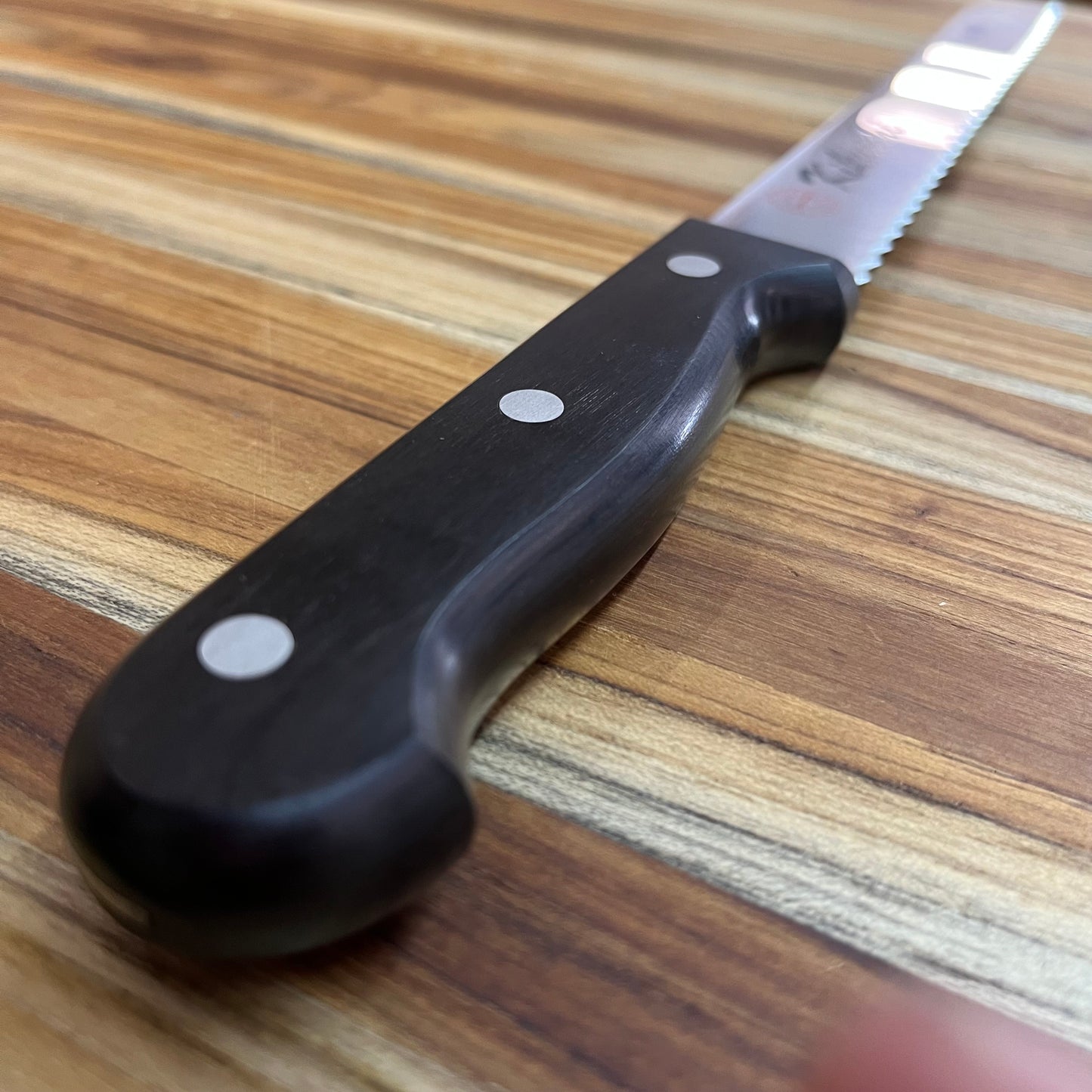 Kikuichi Molybdenum Stainless 250mm (10") Bread Knife