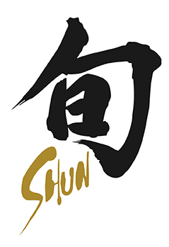 Shun Shiranami Series