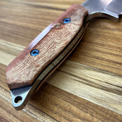 Meglio Blade Show Semi-Custom H-Series 4" Outdoor Kitchen Knife w/ Orange Primavera Handle