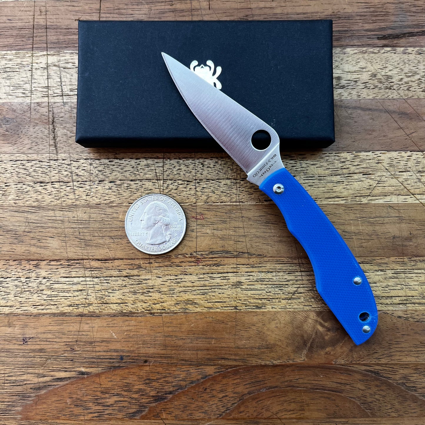 Spyderco Grasshopper 2" Folding Knife w/ Blue Handle