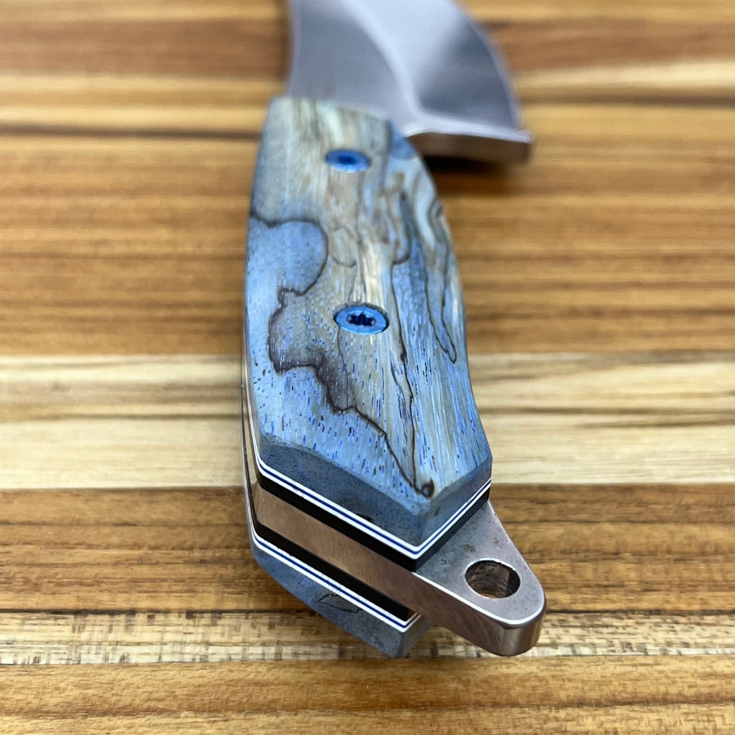 Meglio Blade Show Semi-Custom H-Series 4" Outdoor Kitchen Knife w/ Blue Spalted Maple Handle