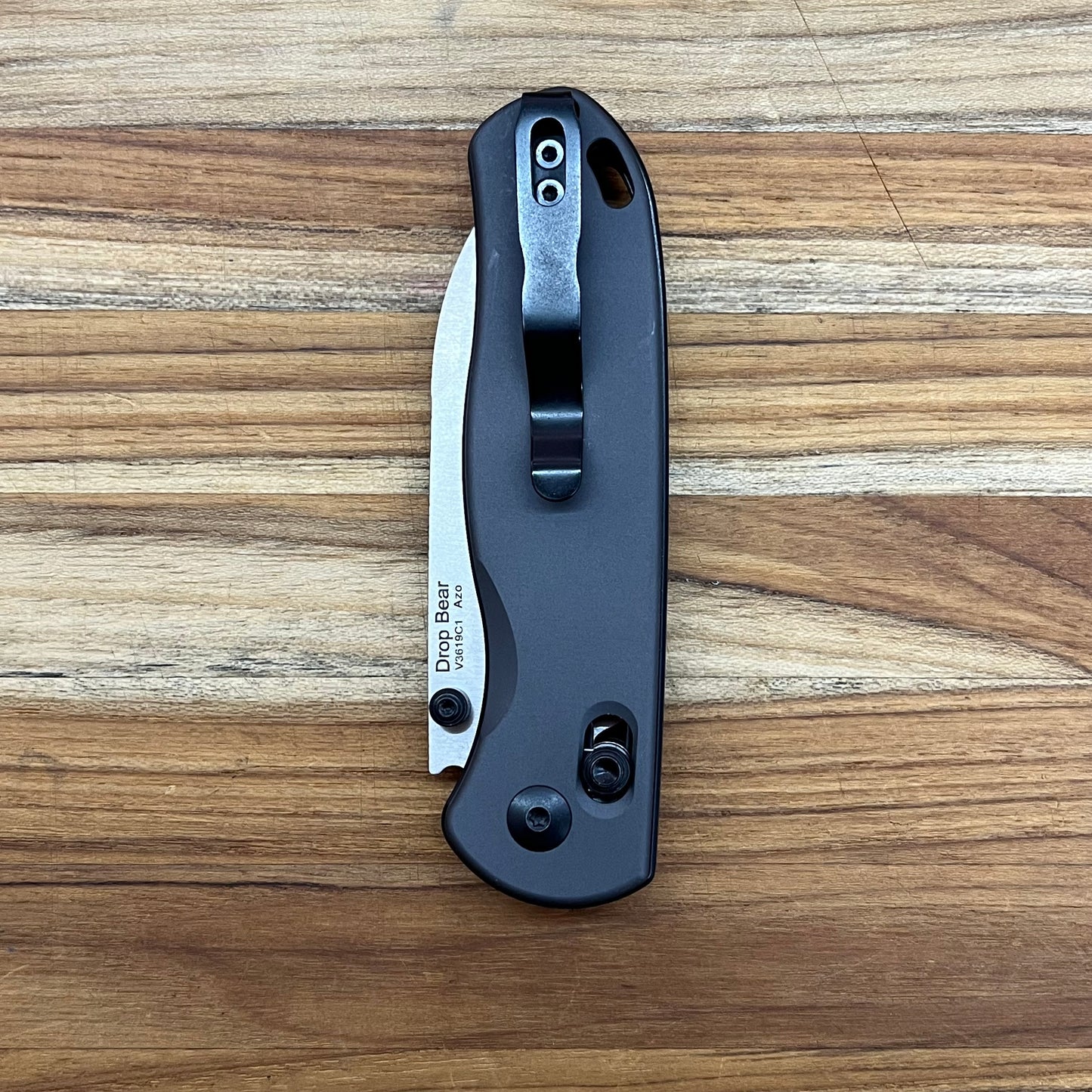 Kizer Azo Drop Bear 3.15" Knife
