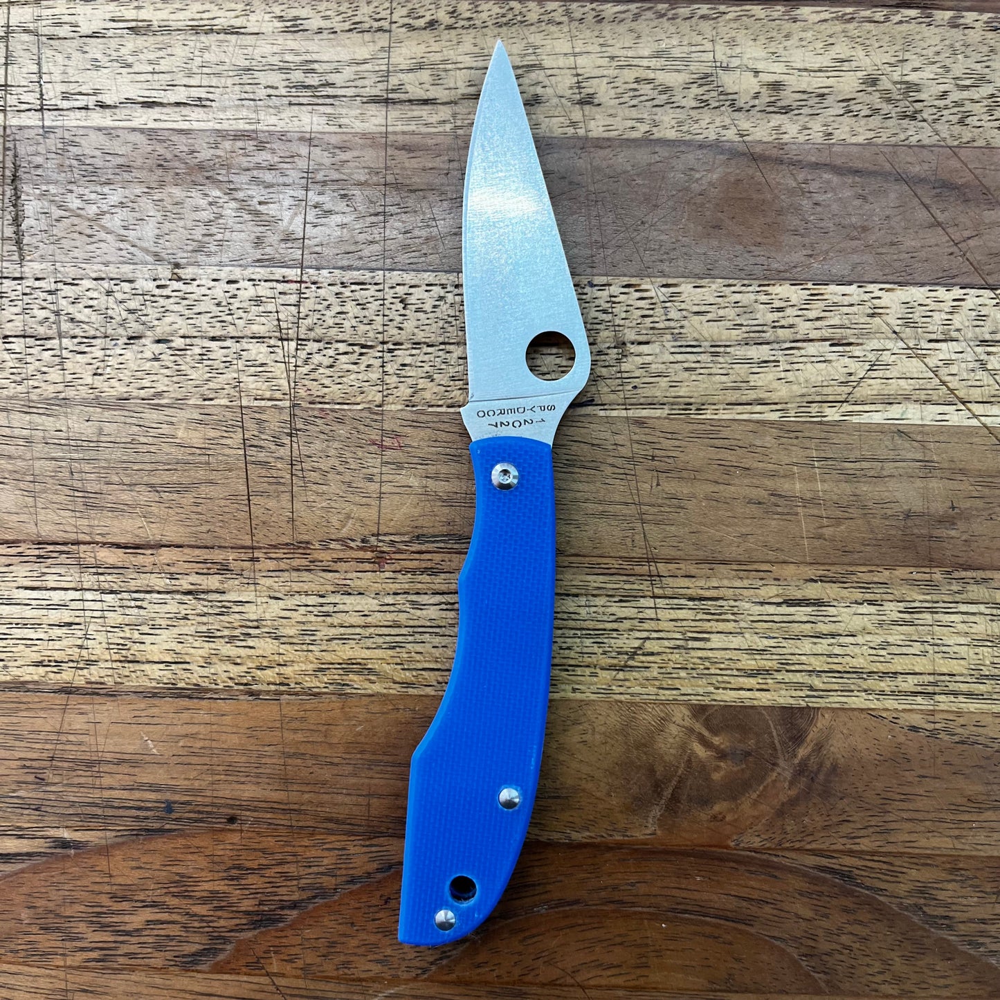 Spyderco Grasshopper 2" Folding Knife w/ Blue Handle