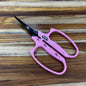 Saboten B-1MFPB Slanted Scissors