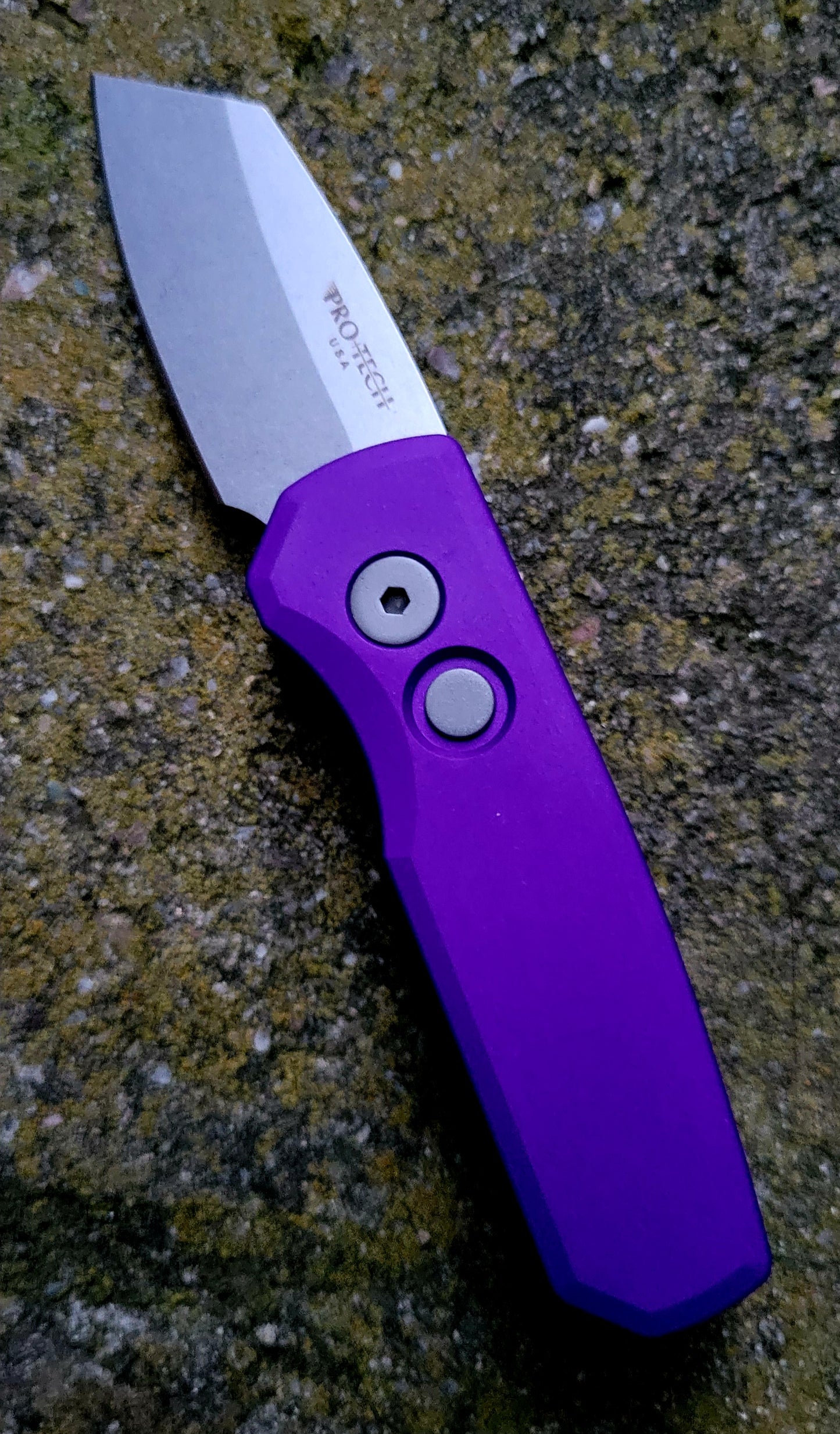 Pro-tech R5401-Purple Smooth Purple Reverse Tanto MAGNACUT Runt 5