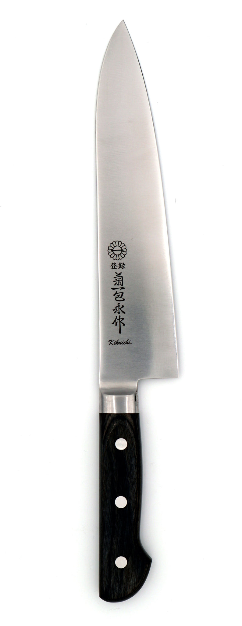 Kikuichi Semi-Stainless 210mm Gyuto